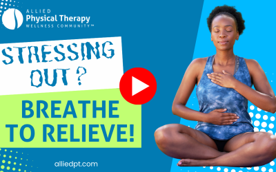 September 2026 Newsletter – Reduce Stress