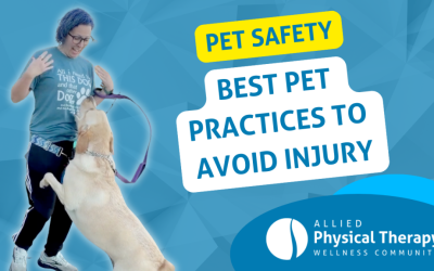 February 2026 Newsletter